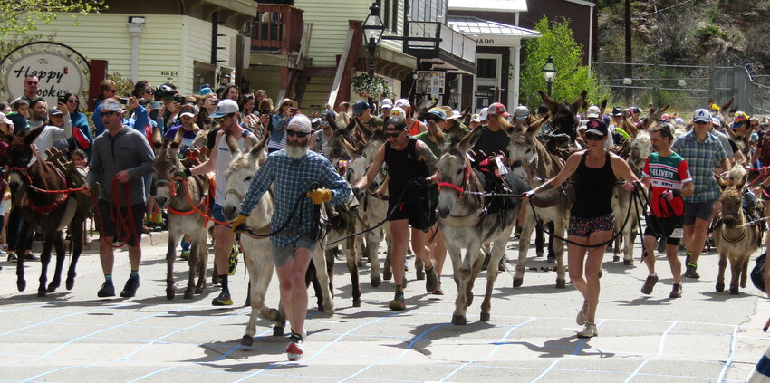Racers leave the starting line on May 27 at the annual pack burro race in Georgetown. Burros and their handlers traversed eight miles to Empire and back for the first of two burro races in Clear Creek County on Memorial Day weekend.